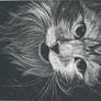 Scratchboard Cat