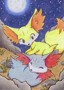 Fennekin at night