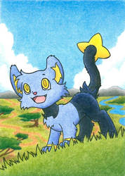 Shinx can't wait to be king