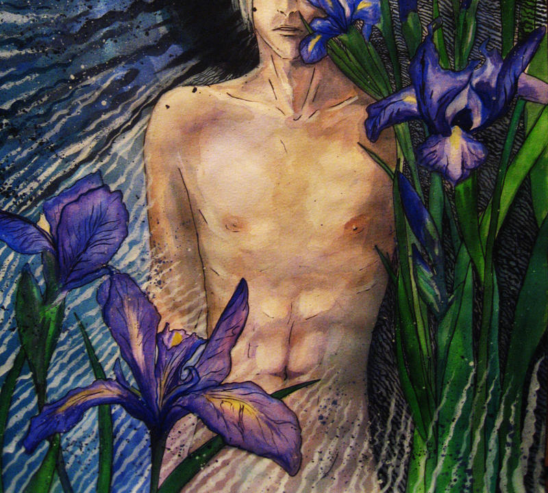 irises