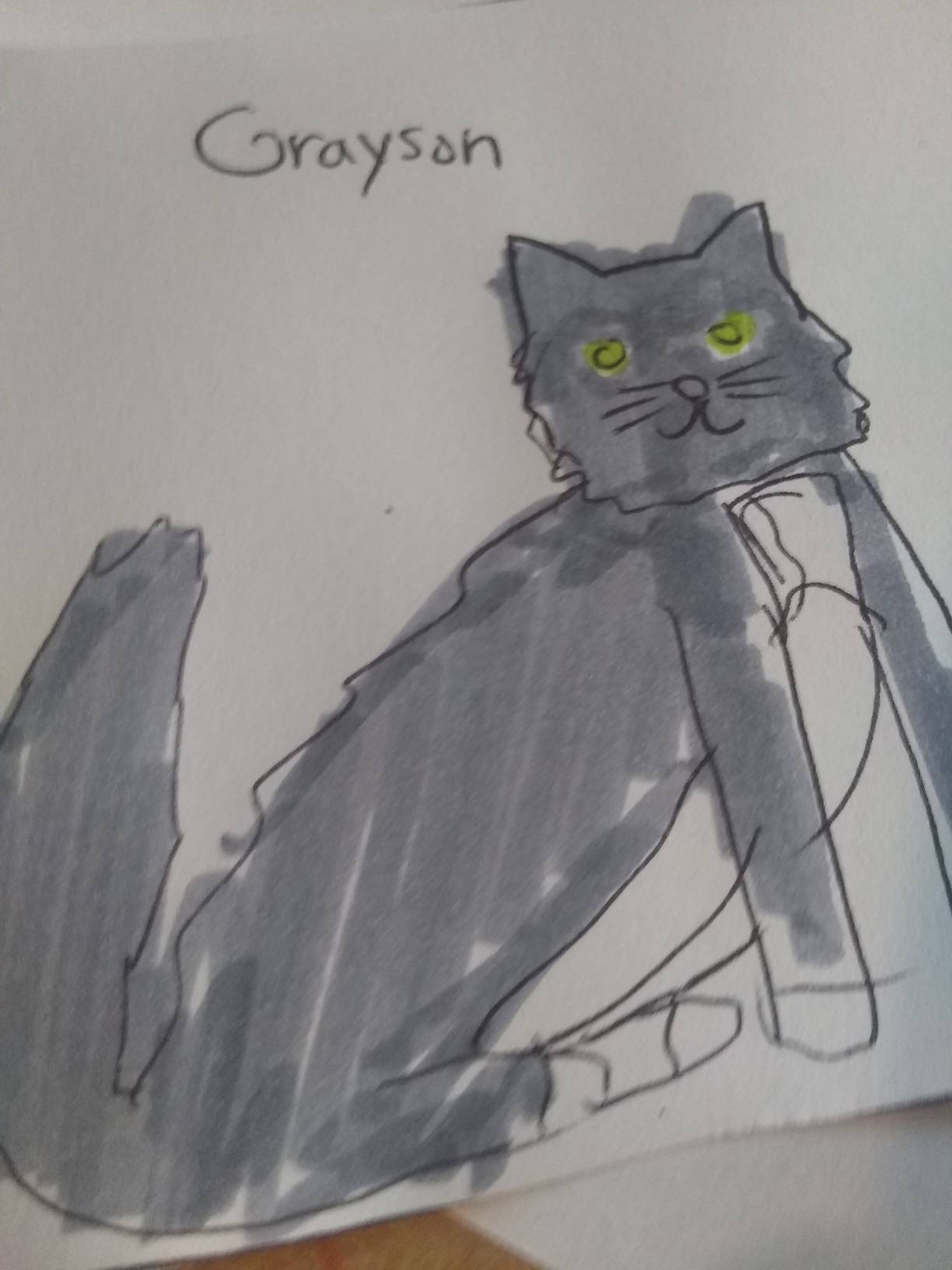 Grayson by PaintieAldrede on DeviantArt