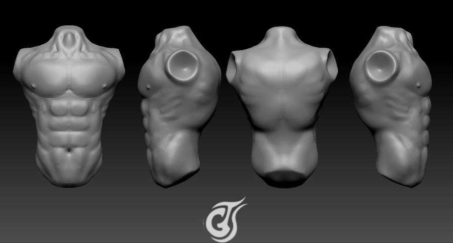 3d Torso Male Torso - 3D Model by ThiagoArvore on DeviantArt