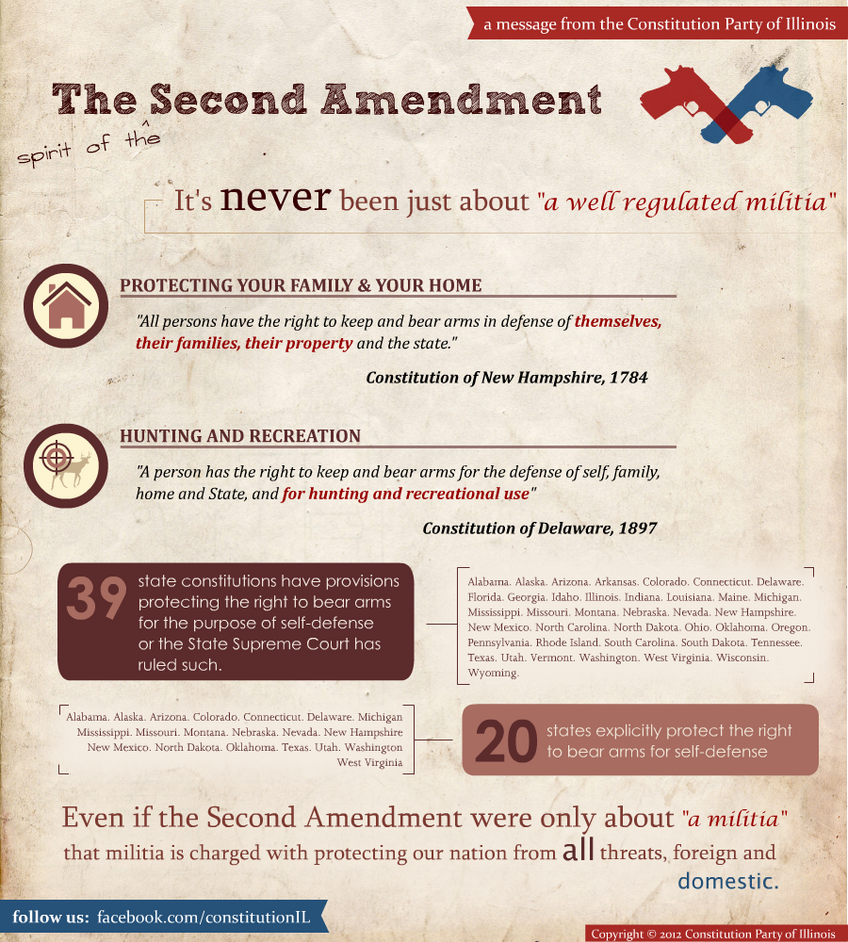 Graph About Second Amendment Second Amendment Infographic by computergeniuz on DeviantArt