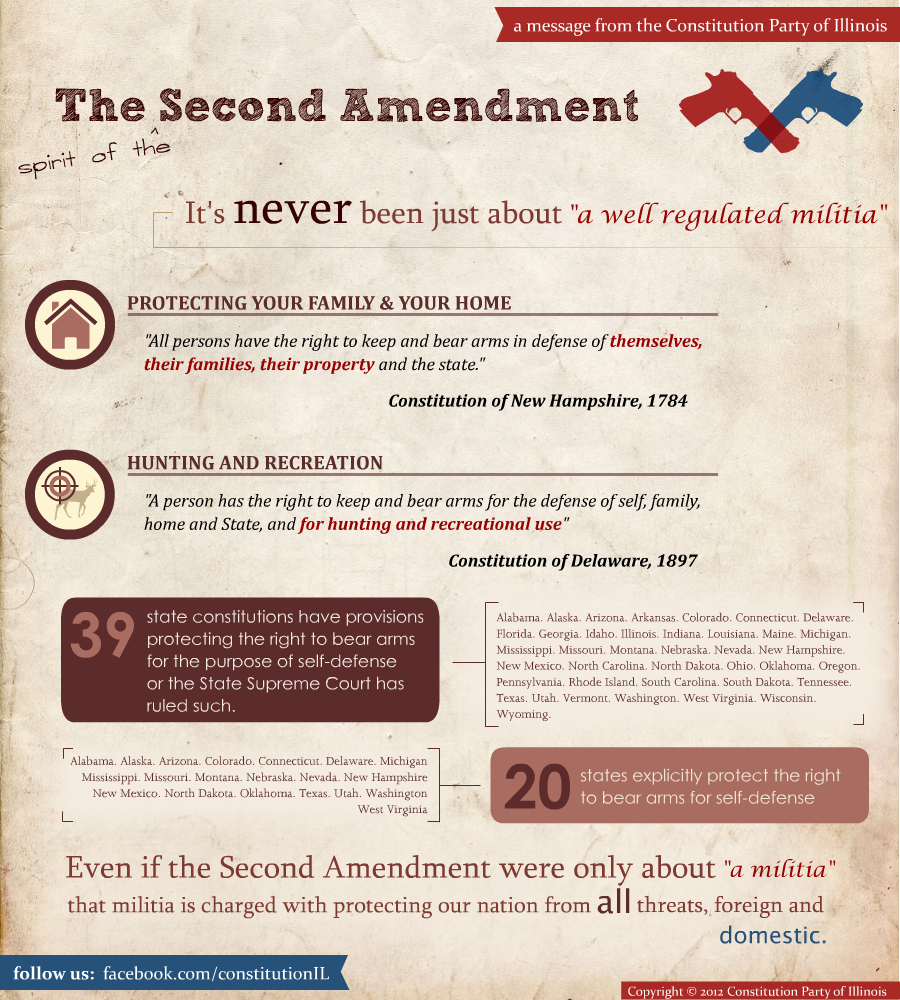 Second Amendment Infographic by computergeniuz on DeviantArt