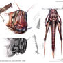 Analysis of Grasshopper, Scientific Illustration