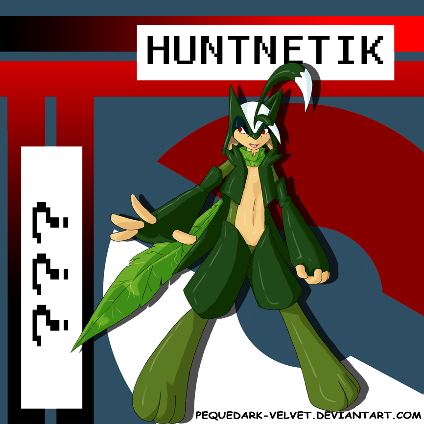 HUNTNETIK