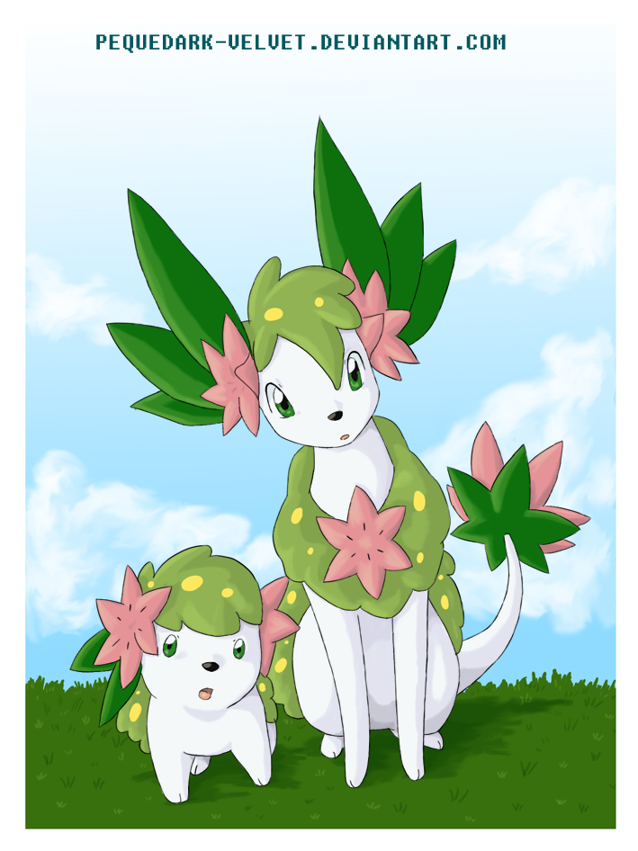 Shaymin Field Notes by Porcubird on DeviantArt