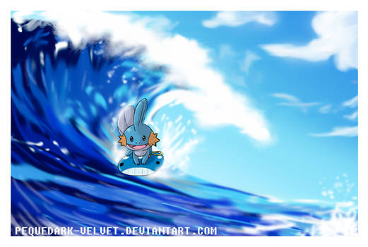 MUDKIP USE SURF