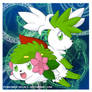 SHAYMIN .:LAND AND SKY:.