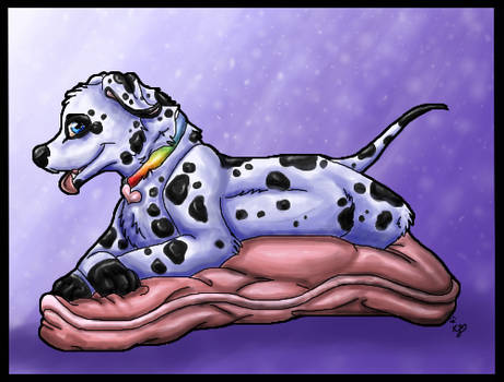 Itsa Dalmation