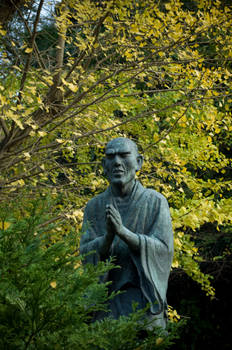 Prayer in Ginkgo