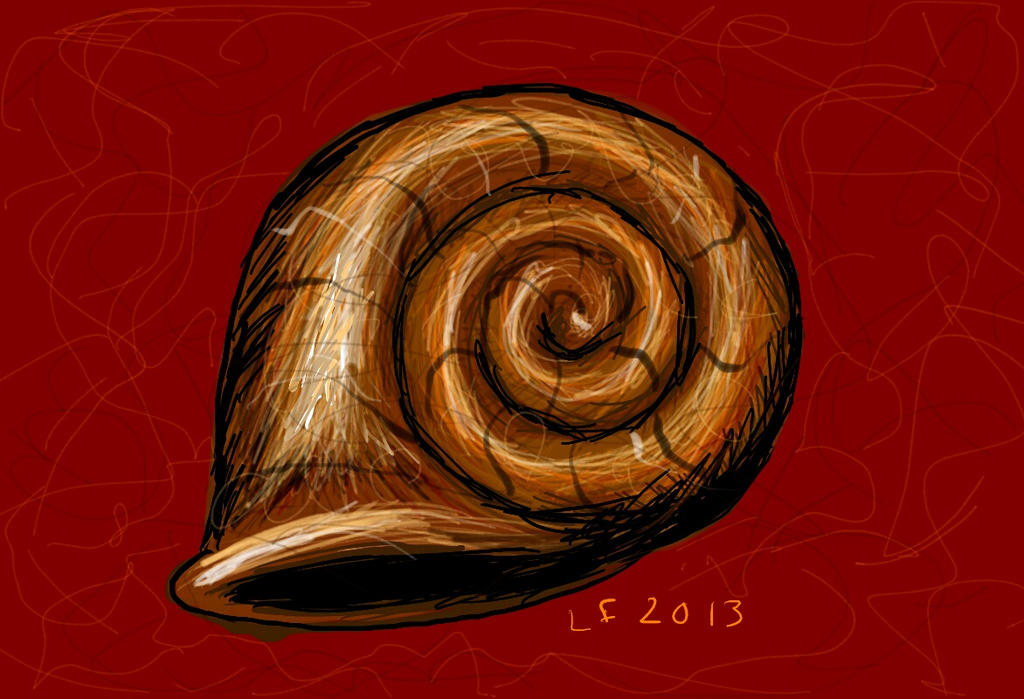 Red Snail Shell Drawing snail shell by LizartLizard on DeviantArt