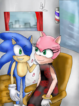 Sonic giving a Amy Rose a buzzcut