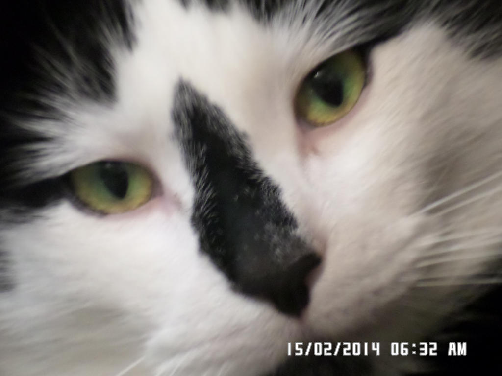 Mr hugo by Rima1110cross on DeviantArt