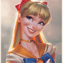 Sailor Venus Portrait