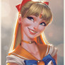 Sailor Venus Steps