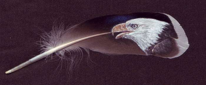 Feather painting - bald eagle