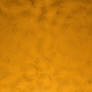 gold leaf texture 07