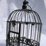Birdcage 2