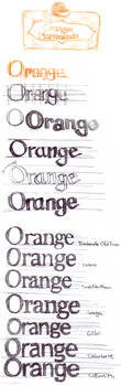 Branding - Orange Marmalade
