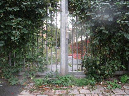 Overgrown Yard Gate