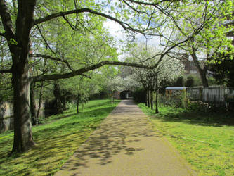 Panke trail at suburban rail circle