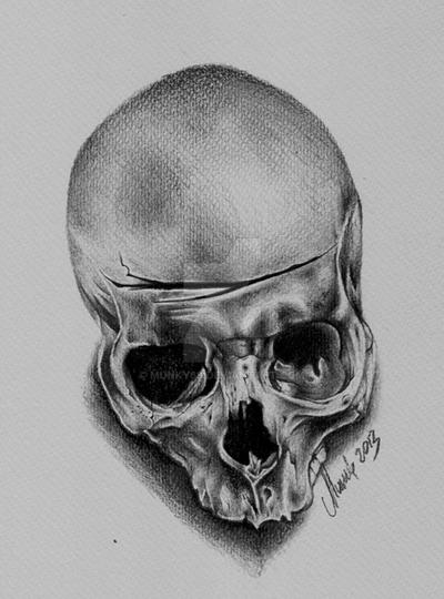 Skull