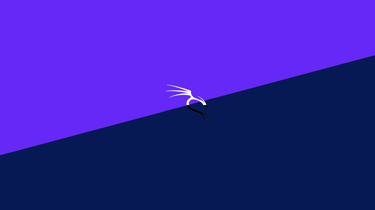 Kali Linux Concept Wallpaper. by benimadimkodyesil on DeviantArt