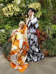 Kimono series