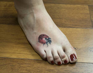 tattoo_ladybug