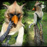 Cardinal Gryphon
