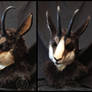 Chamois