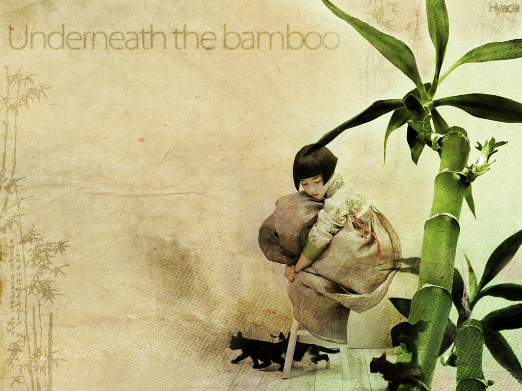 Underneath the bamboo