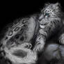 Snow Leopard