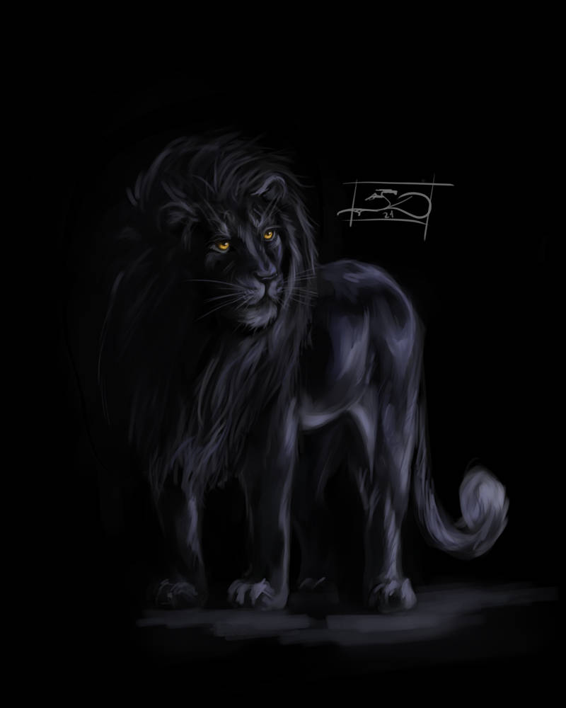 Black Lion by DraSid on DeviantArt