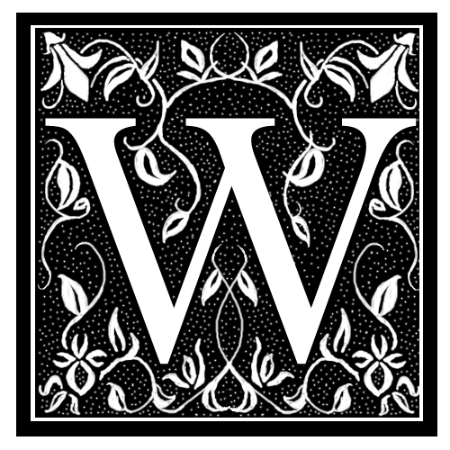 Fancy W by Apeliotus on DeviantArt