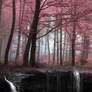 Premade Background 2