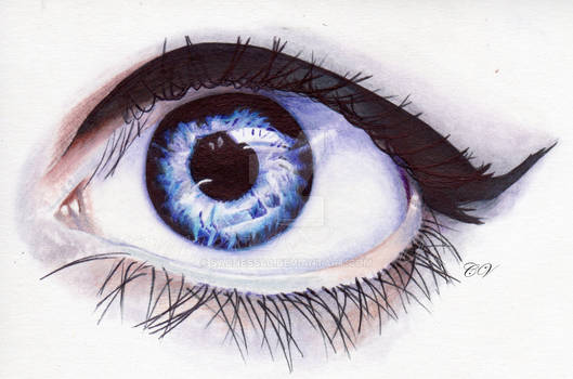 Oeil/Eye