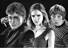 Harry, Hermione et Ron