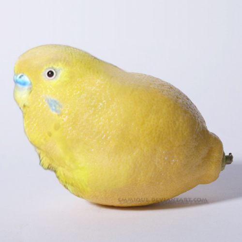 Tweety Fruity