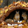 Cute landscapes 010525 (13)