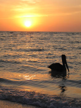 sunset with a friend