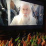 Gandalf's Army