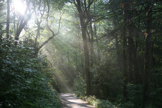 Linville Falls Path 1