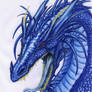 +Blue dragon+