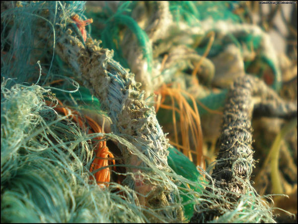 Fishing Nets