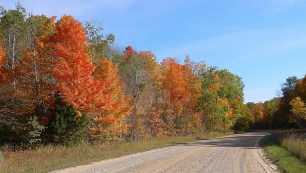 Down along the old dirt road..