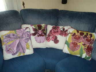 Colorful Cushions