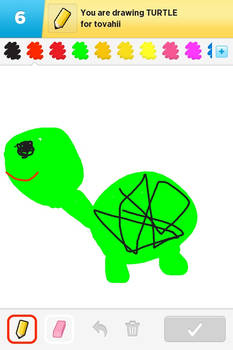 My beautiful turtle