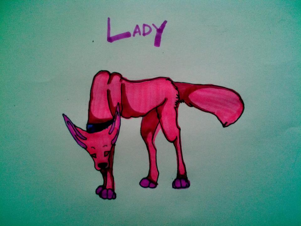 Lady.